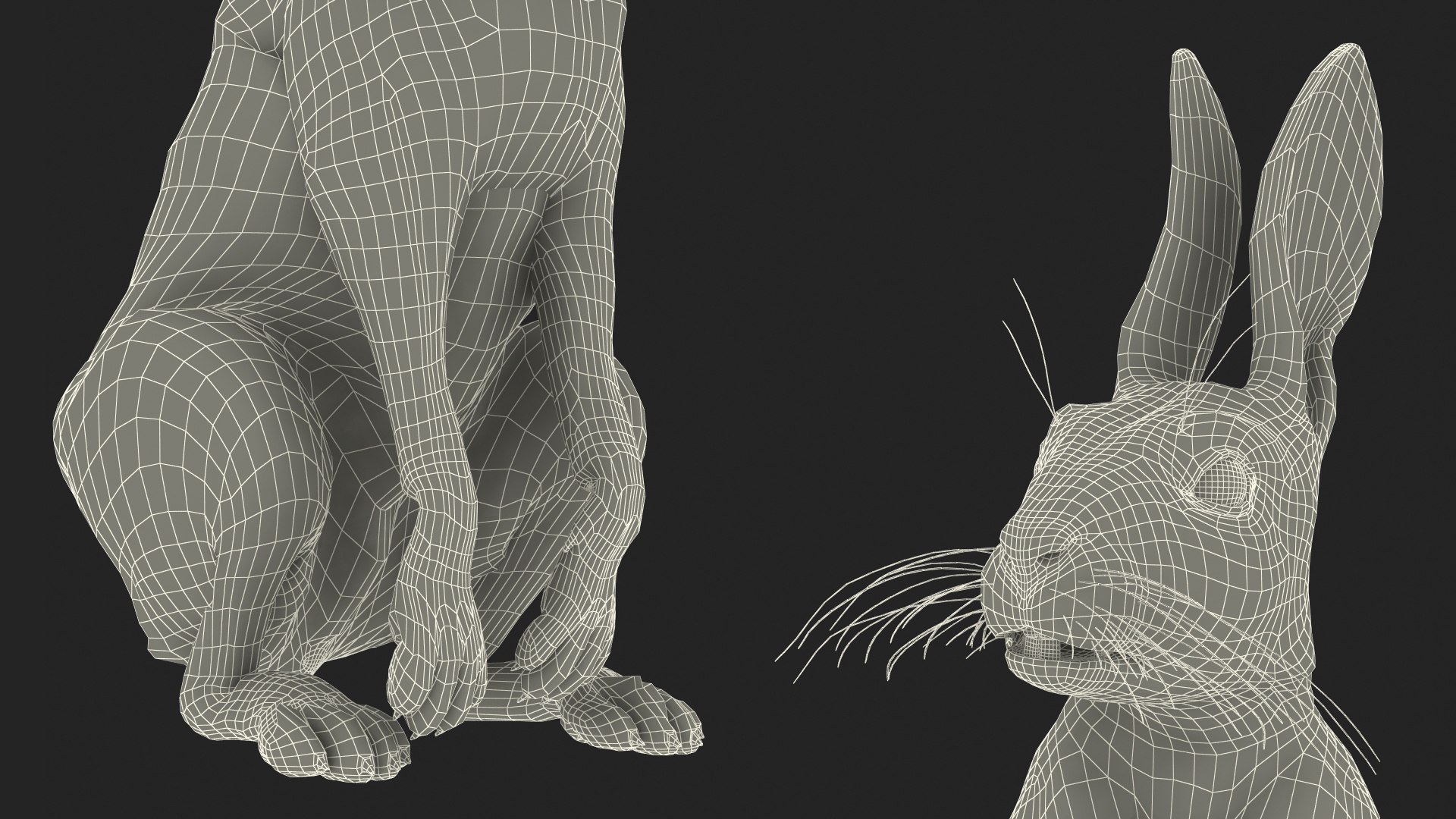 Hare  Animated Rigged for Maya 3D model https://p.turbosquid.com/ts-thumb/fl/rFVCA1/Ee/hareanimatedriggedformayavray3dmodel025/jpg/1723867818/1920x1080/fit_q87/958f74e6b13b86cae2fe721f3882993d762151c6/hareanimatedriggedformayavray3dmodel025.jpg
