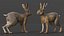 Maya 用にリグされた Hare Animated
