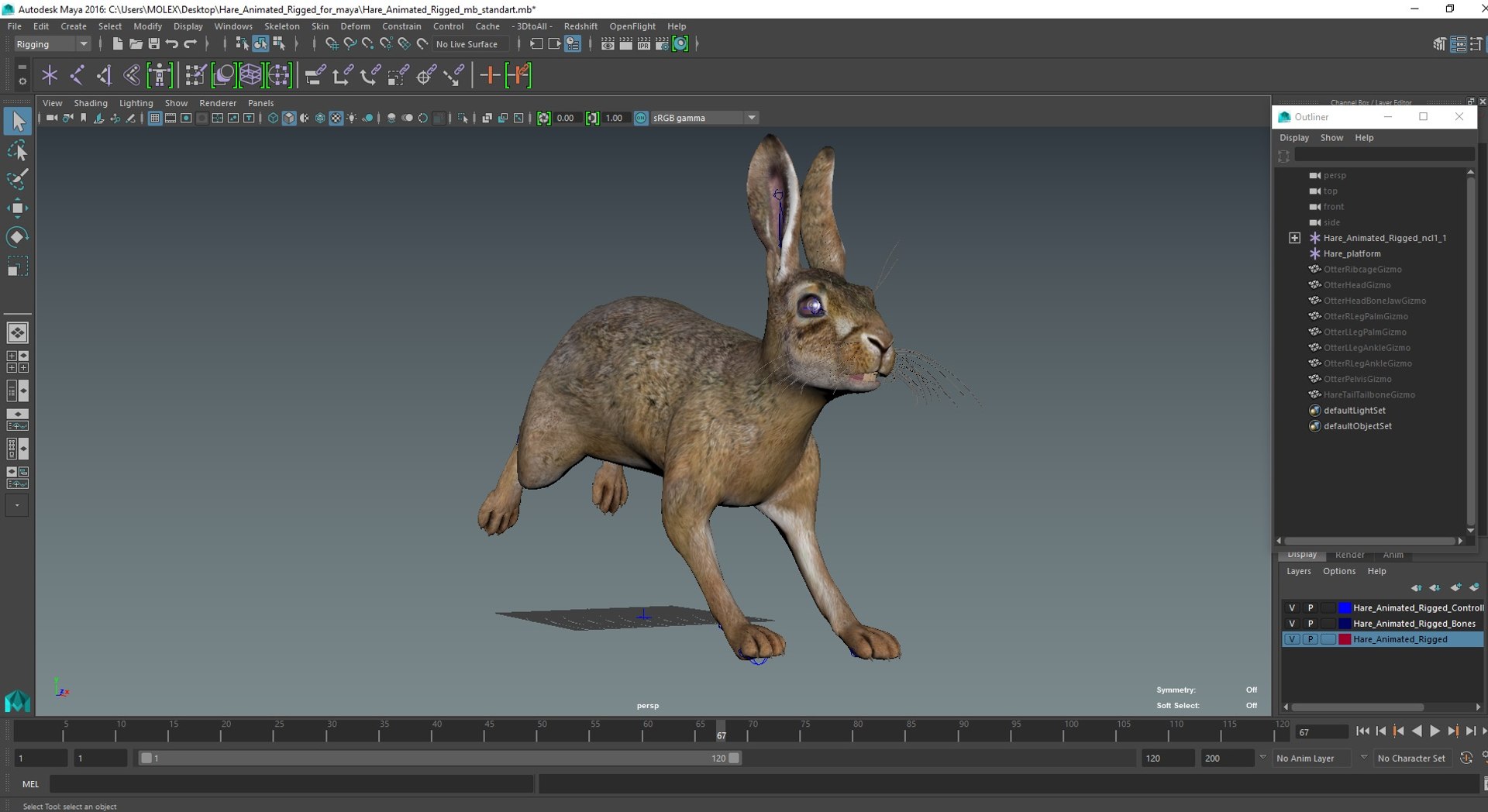 Hare  Animated Rigged for Maya 3D model https://p.turbosquid.com/ts-thumb/fl/rFVCA1/Kf/hareanimatedriggedformayavray3dmodel031/jpg/1723867838/1920x1080/fit_q87/7e692824081b62af10d11300585f2a6eb637a871/hareanimatedriggedformayavray3dmodel031.jpg