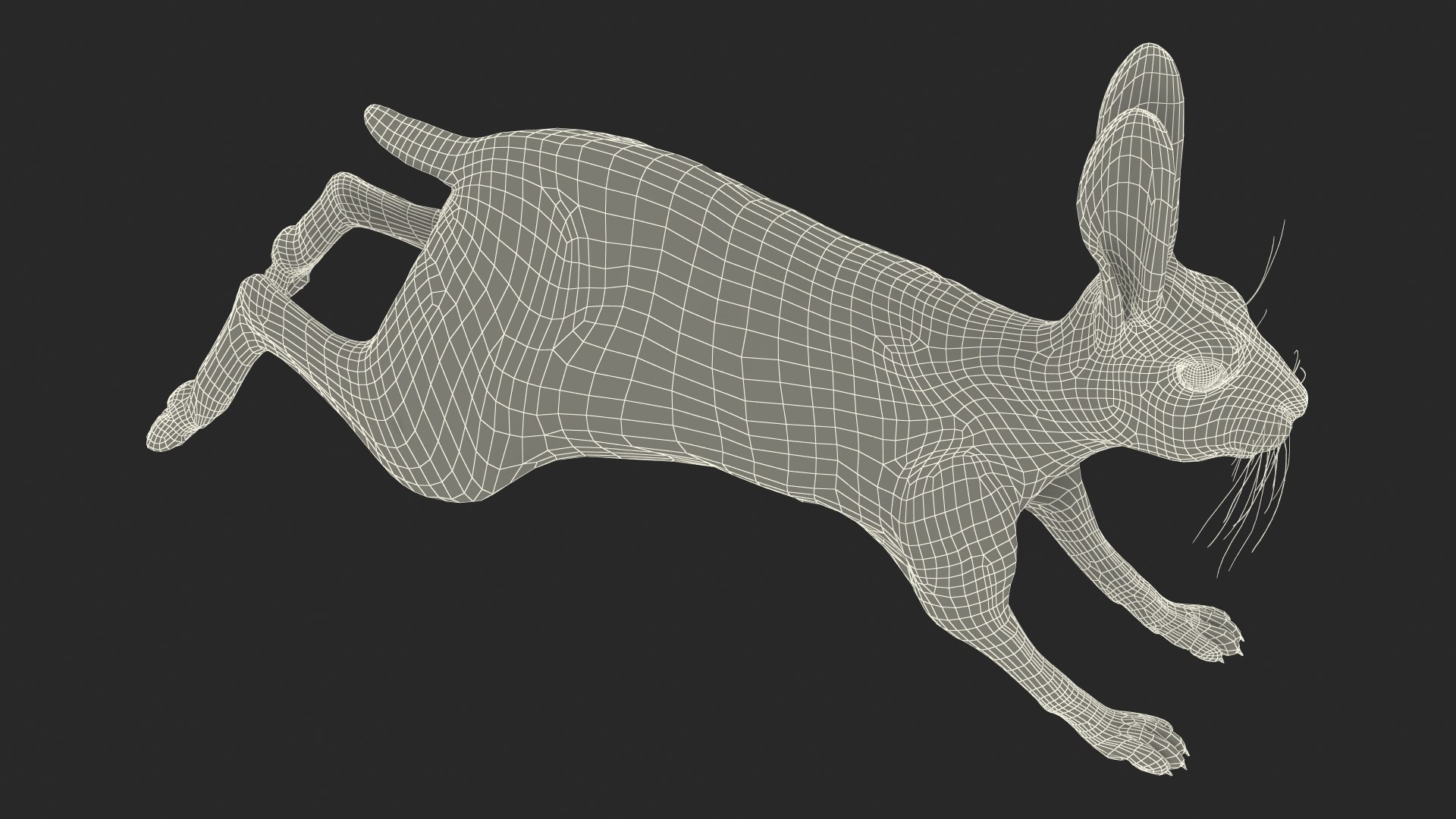 Hare  Animated Rigged for Maya 3D model https://p.turbosquid.com/ts-thumb/fl/rFVCA1/Mx/hareanimatedriggedformayavray3dmodel023/jpg/1723867810/1920x1080/fit_q87/f7352c875bdacf6da7f9d970ccbcf4f0be082dfd/hareanimatedriggedformayavray3dmodel023.jpg