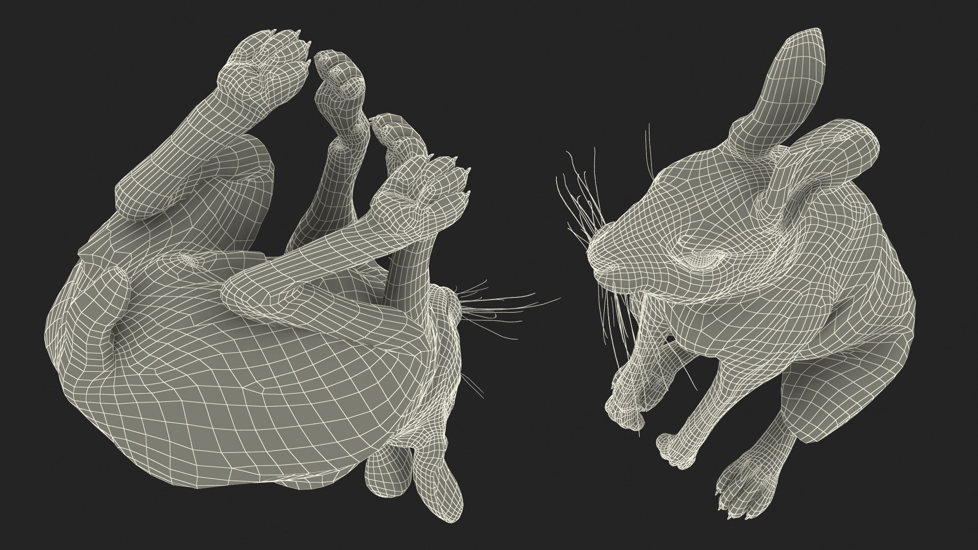 Hare  Animated Rigged for Maya 3D model https://p.turbosquid.com/ts-thumb/fl/rFVCA1/NC/hareanimatedriggedformayavray3dmodel024/jpg/1723867814/1920x1080/fit_q87/e24f8498334e66b9c151cd35e1248edecc7289c8/hareanimatedriggedformayavray3dmodel024.jpg
