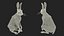 Maya 用にリグされた Hare Animated