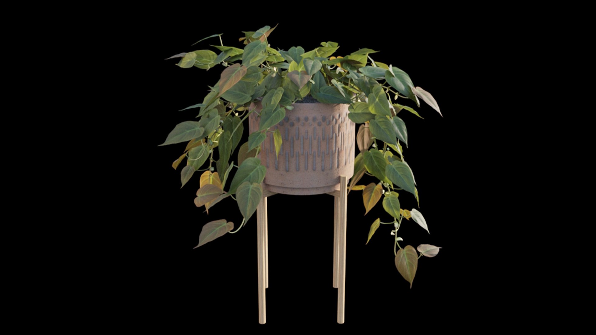 3D Philodendron Scandens Micans model https://p.turbosquid.com/ts-thumb/fl/uA4PSo/7w/philodendron_scandens_micans_02_03/jpg/1626071401/1920x1080/fit_q87/73cd162056c3515d7d0543d3ba19d64b856d059d/philodendron_scandens_micans_02_03.jpg