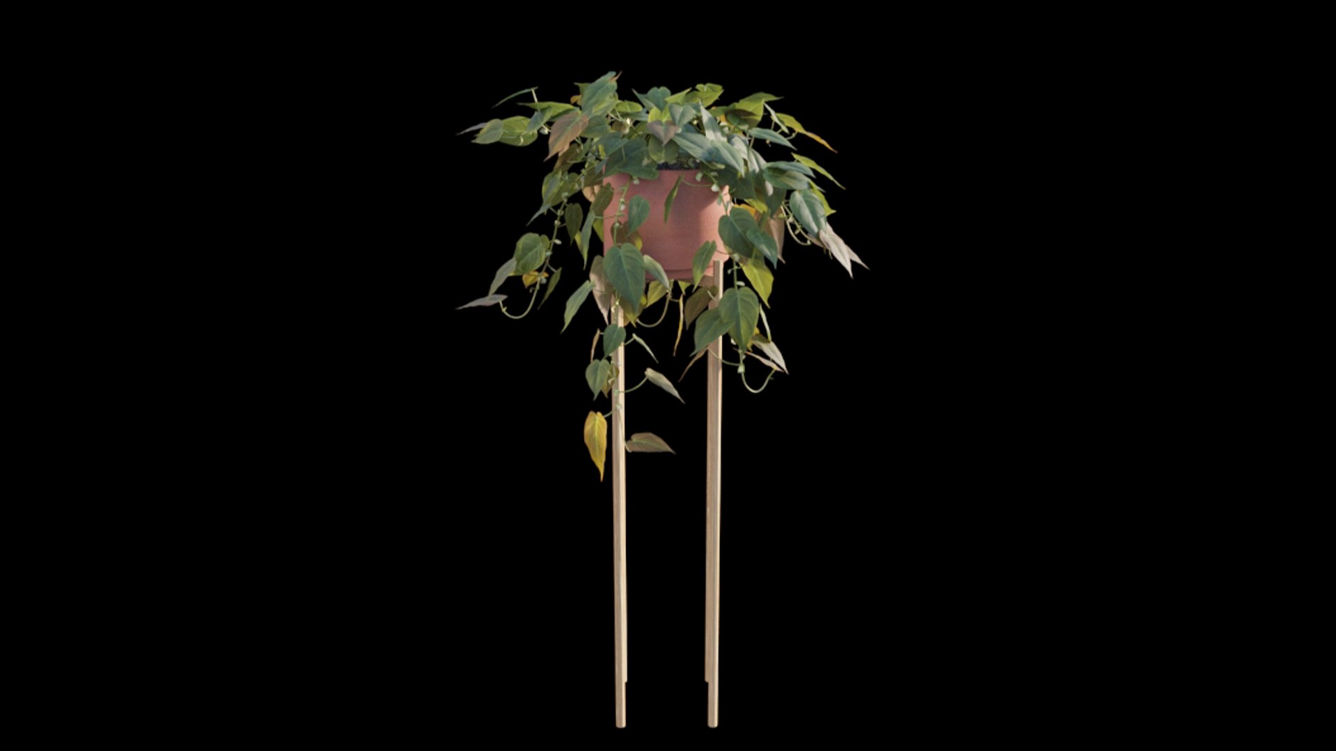 3D Philodendron Scandens Micans model https://p.turbosquid.com/ts-thumb/fl/uA4PSo/jY/philodendron_scandens_micans_02_07/jpg/1626071403/1920x1080/fit_q87/3ffc069a7192d2f841ddfa260fca44b247d17adf/philodendron_scandens_micans_02_07.jpg