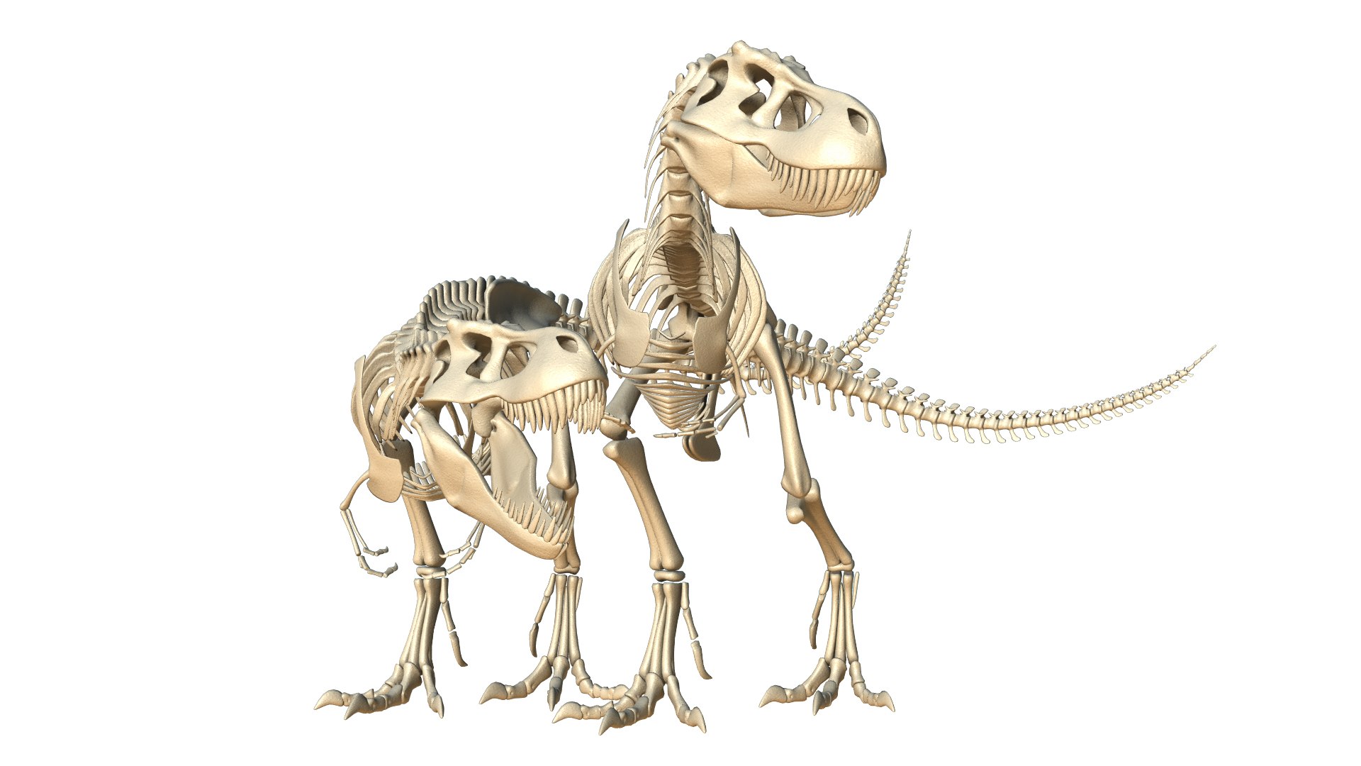 x t tyrannosaur