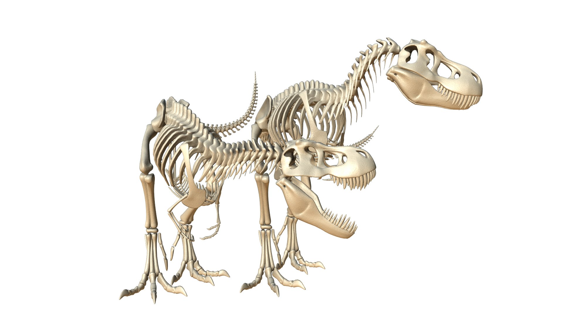 x t tyrannosaur