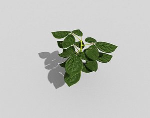 plant games 3d model