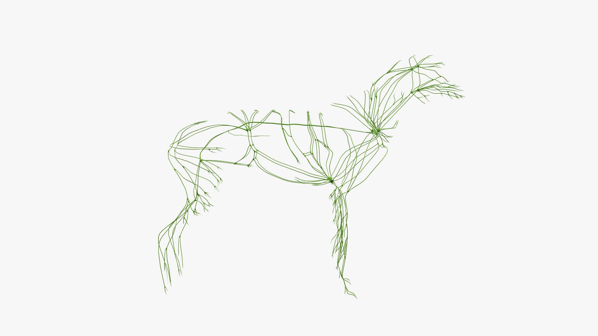 dog anatomy animation model https://p.turbosquid.com/ts-thumb/fm/3tOFkd/BYbJid6N/ts_doganatomy_anatomy_solo_lymphatic0001/jpg/1571146529/1920x1080/fit_q87/52b05762333cd2032532d6a7373ecb4346ce5d47/ts_doganatomy_anatomy_solo_lymphatic0001.jpg