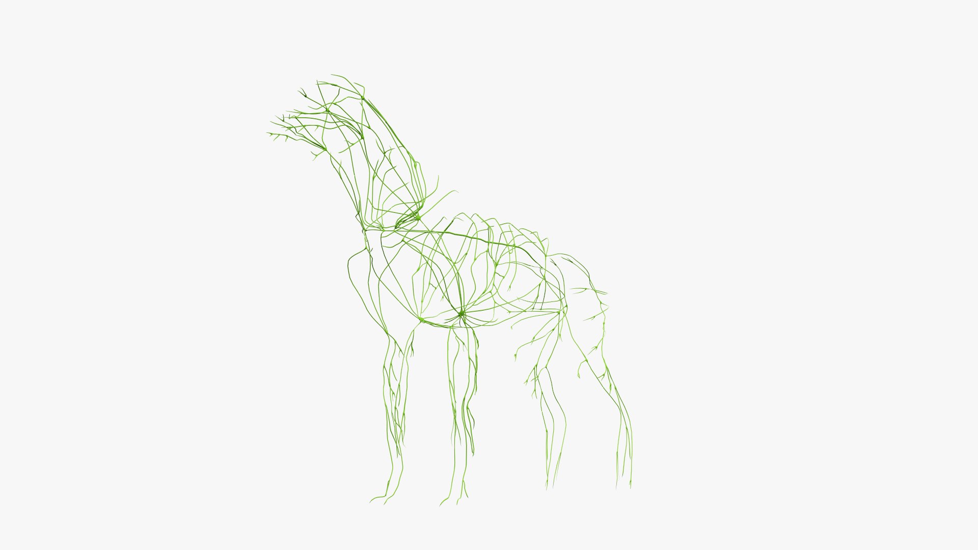 dog anatomy animation model https://p.turbosquid.com/ts-thumb/fm/3tOFkd/BZb7kc7f/ts_doganatomy_anatomy_solo_lymphatic0004/jpg/1571146529/1920x1080/fit_q87/07cec8e52bbd55f98f6aba0a7dec3354fcf12aab/ts_doganatomy_anatomy_solo_lymphatic0004.jpg