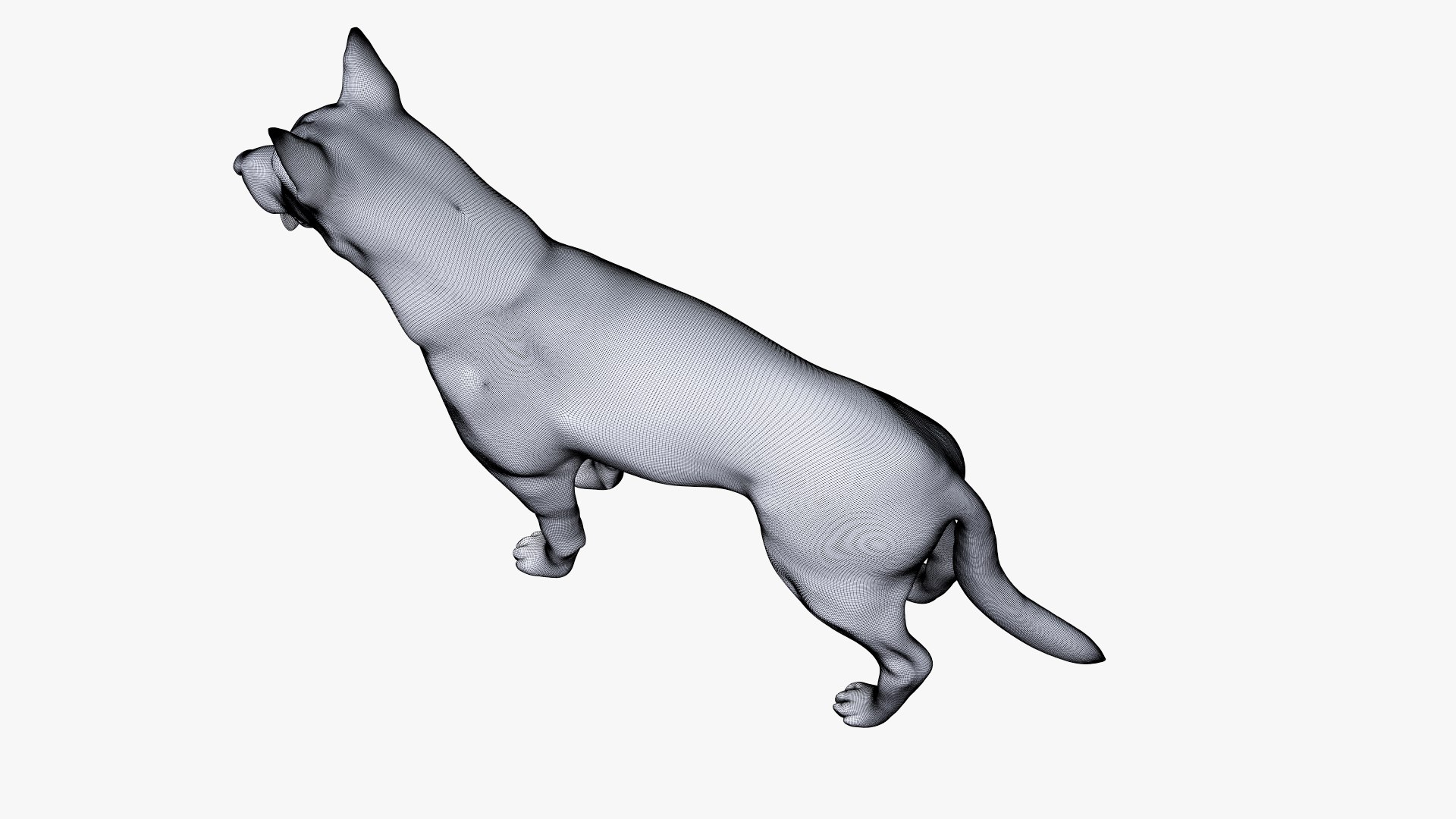 dog anatomy animation model https://p.turbosquid.com/ts-thumb/fm/3tOFkd/GEWPPrZz/ts_doganatomy_body_wire0003/jpg/1571146867/1920x1080/fit_q87/e62f7ad6a6b5cd706a13364f542b2f039269c5ec/ts_doganatomy_body_wire0003.jpg