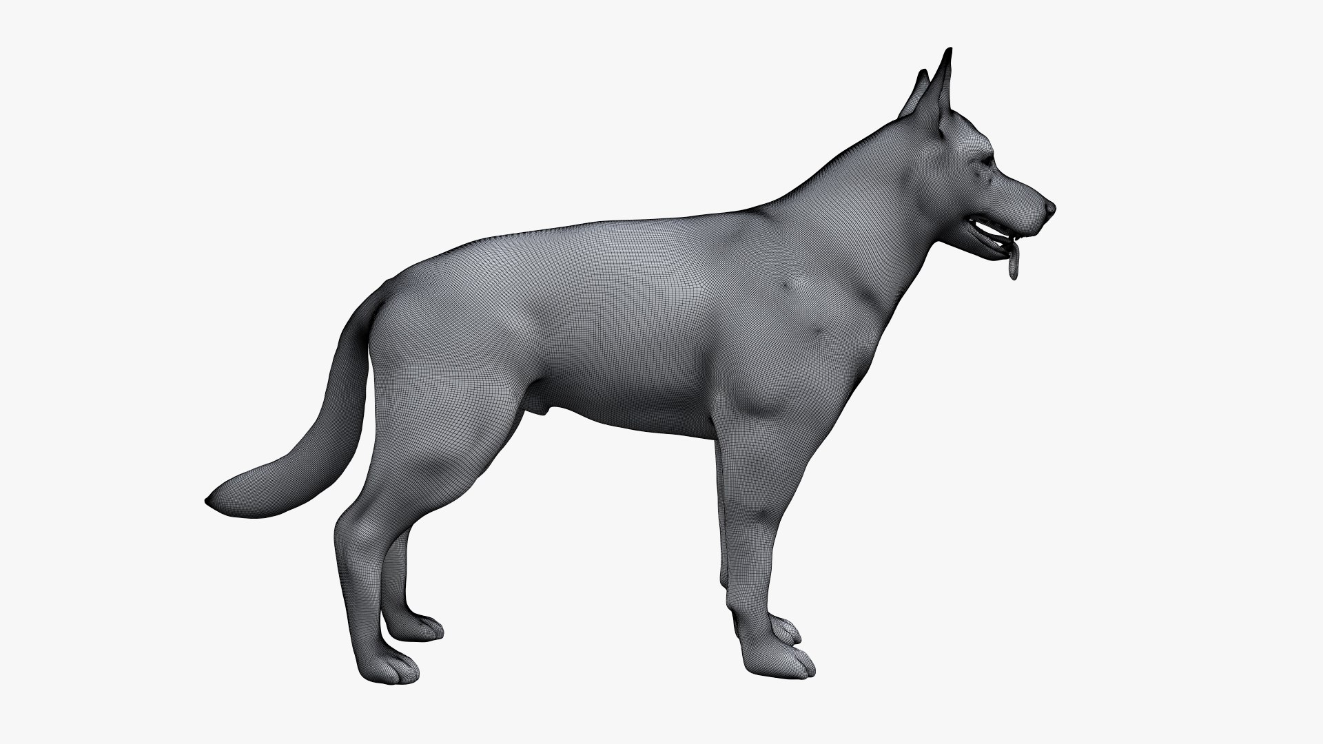 dog anatomy animation model https://p.turbosquid.com/ts-thumb/fm/3tOFkd/Jj6AjVay/ts_doganatomy_body_wire0001/jpg/1571146867/1920x1080/fit_q87/5a543b134c9b617b897473f69a9d91bd16805824/ts_doganatomy_body_wire0001.jpg