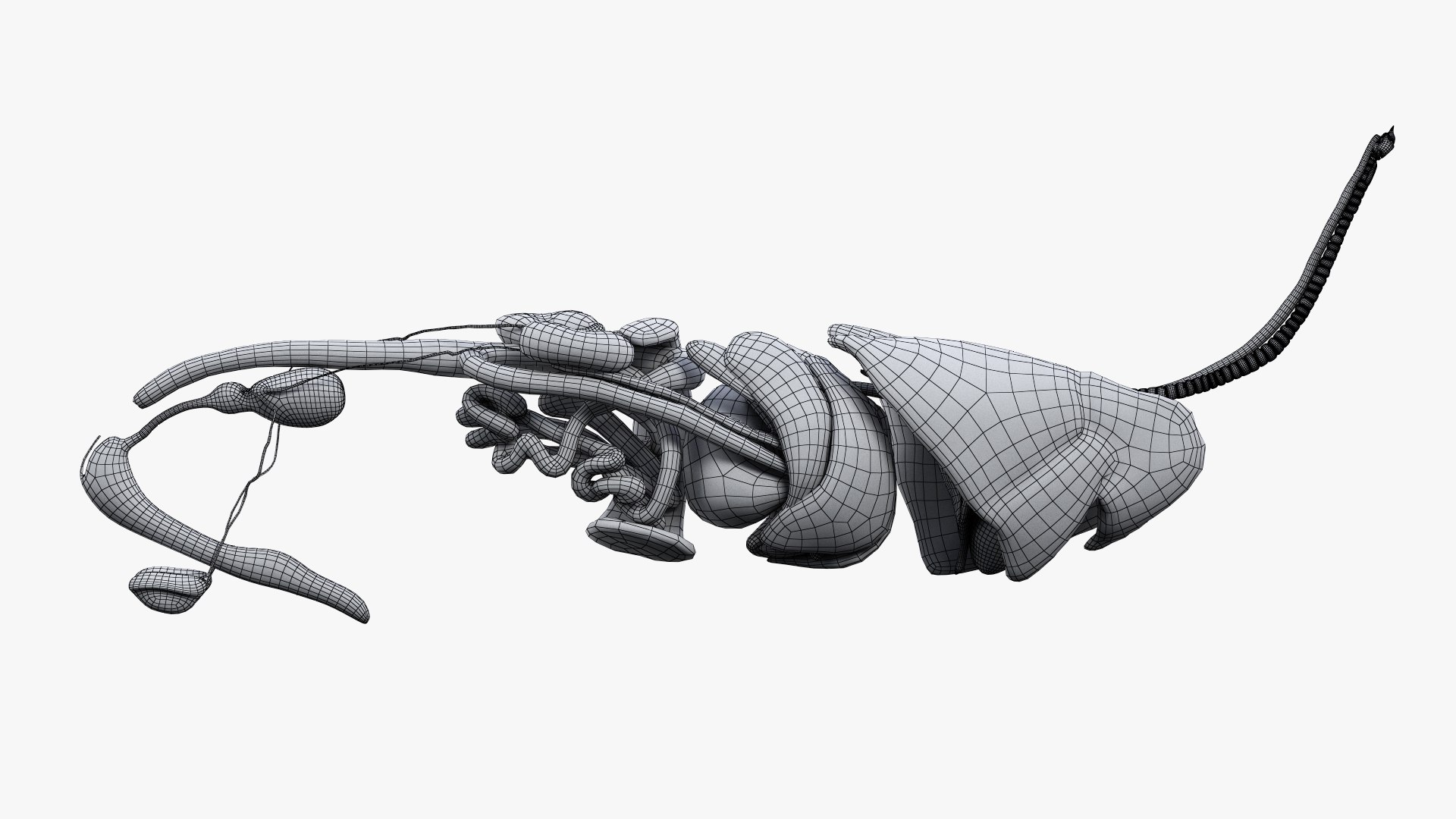dog anatomy animation model https://p.turbosquid.com/ts-thumb/fm/3tOFkd/RsLKN7Eu/ts_doganatomy_anatomy_wire_org_s0001/jpg/1571147106/1920x1080/fit_q87/9ff148dd541d35e9289243834538bd80979236aa/ts_doganatomy_anatomy_wire_org_s0001.jpg