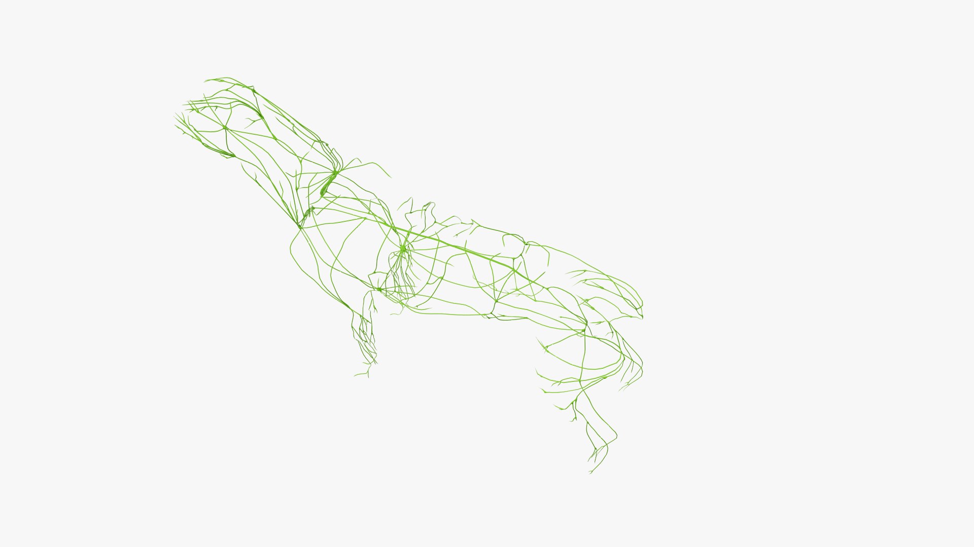 dog anatomy animation model https://p.turbosquid.com/ts-thumb/fm/3tOFkd/VQ8lvIXr/ts_doganatomy_anatomy_solo_lymphatic0003/jpg/1571146529/1920x1080/fit_q87/1ffbac8cf8e442258923fb3bdfce9e1fe7d48626/ts_doganatomy_anatomy_solo_lymphatic0003.jpg