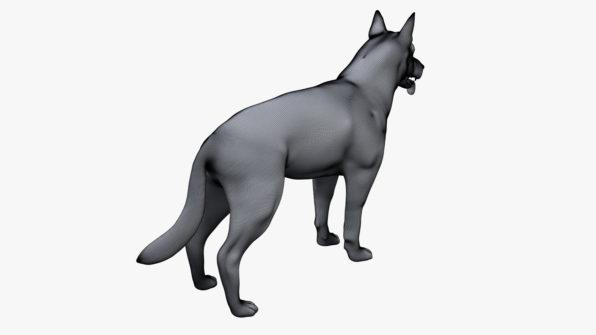dog anatomy animation model https://p.turbosquid.com/ts-thumb/fm/3tOFkd/c5ye9sNZ/ts_doganatomy_body_wire0002/jpg/1571146867/1920x1080/fit_q87/3353005b4e66346aebbe50423e9f79acfccc6364/ts_doganatomy_body_wire0002.jpg