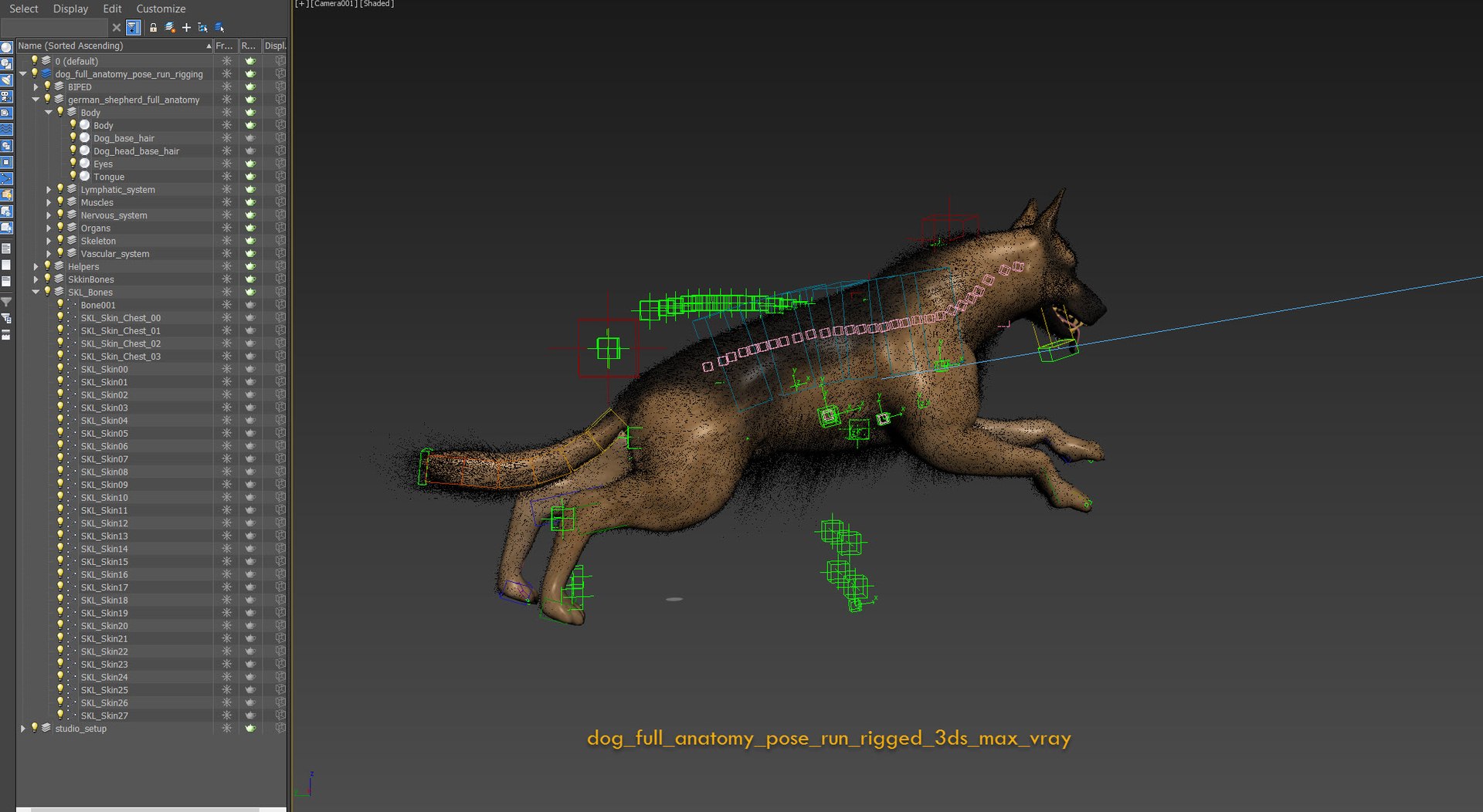 dog anatomy animation model https://p.turbosquid.com/ts-thumb/fm/3tOFkd/lf1XUQBR/dog_full_anatomy_pose_run_rigged_3ds_max_vray/jpg/1571207077/1920x1080/fit_q87/315d423d8a2fe45e417760d4c839ddf3fb9d3d02/dog_full_anatomy_pose_run_rigged_3ds_max_vray.jpg