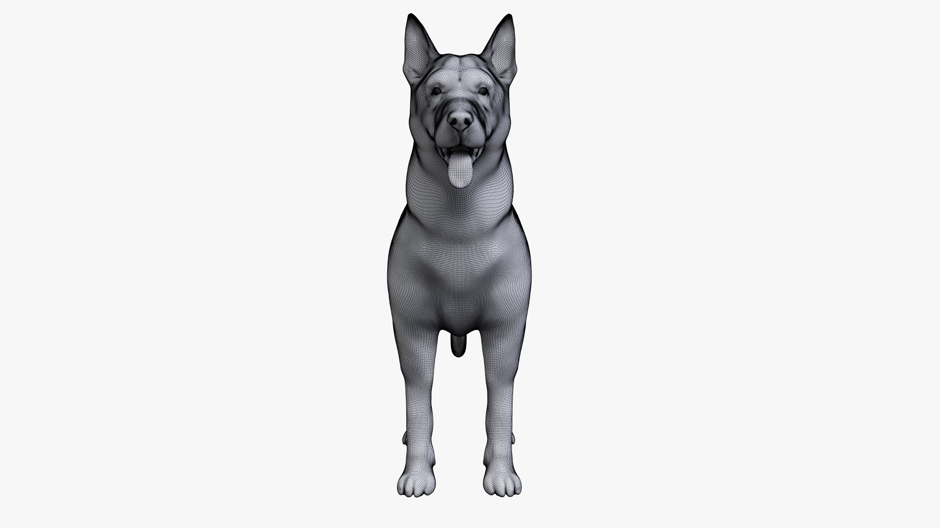 dog anatomy animation model https://p.turbosquid.com/ts-thumb/fm/3tOFkd/psnWhldf/ts_doganatomy_body_wire0005/jpg/1571146867/1920x1080/fit_q87/6f5de225f9ed239c7f3a07b7b0ed4924512489f7/ts_doganatomy_body_wire0005.jpg
