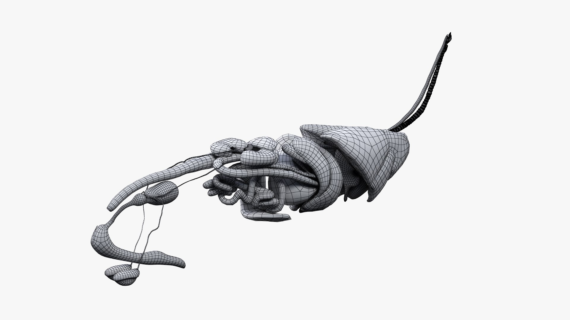 dog anatomy animation model https://p.turbosquid.com/ts-thumb/fm/3tOFkd/qpbIPFc4/ts_doganatomy_anatomy_wire_org_s0002/jpg/1571147106/1920x1080/fit_q87/e1e6e8109844968d7f25fb06c1c8e56862f26e15/ts_doganatomy_anatomy_wire_org_s0002.jpg