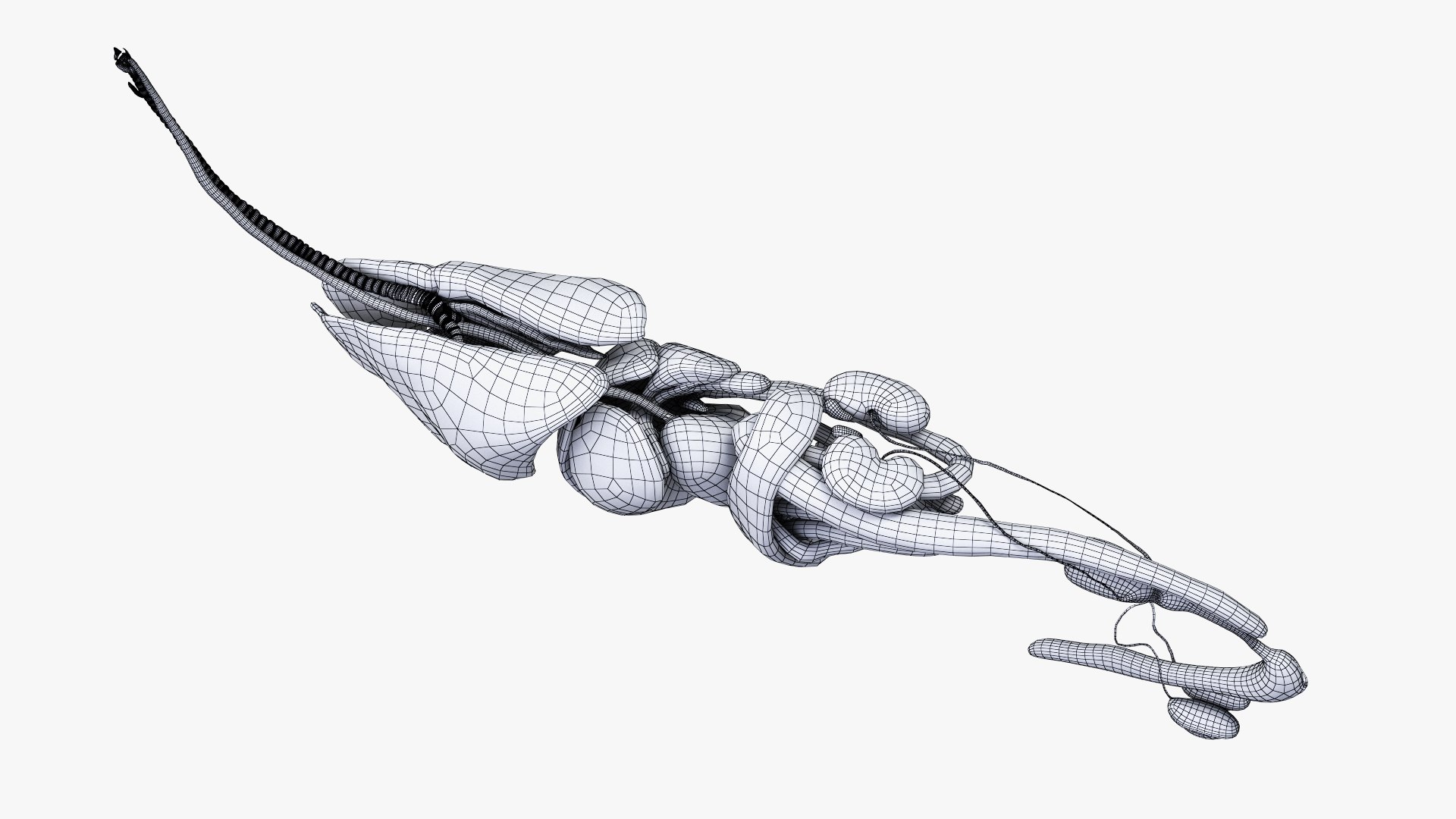 dog anatomy animation model https://p.turbosquid.com/ts-thumb/fm/3tOFkd/saknkuwy/ts_doganatomy_anatomy_wire_org_s0003/jpg/1571147106/1920x1080/fit_q87/796c17dad44d34003f666bcc776cfe70ad377599/ts_doganatomy_anatomy_wire_org_s0003.jpg