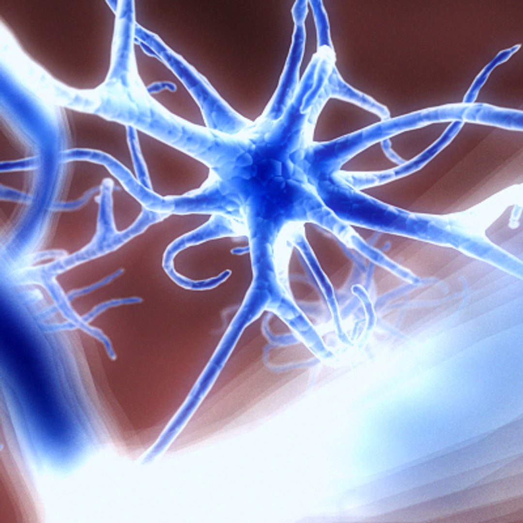 neuron network 3d model https://p.turbosquid.com/ts-thumb/fm/BK3W5L/B4EL7PFB/nor2_0084/png/1205942162/1920x1080/fit_q87/7de4442171c3d1d85454fdd0d88e1caa8dc07d59/nor2_0084.jpg