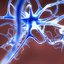 neuron network
