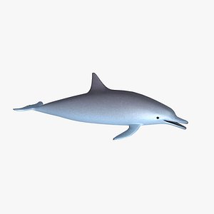 Dolphin