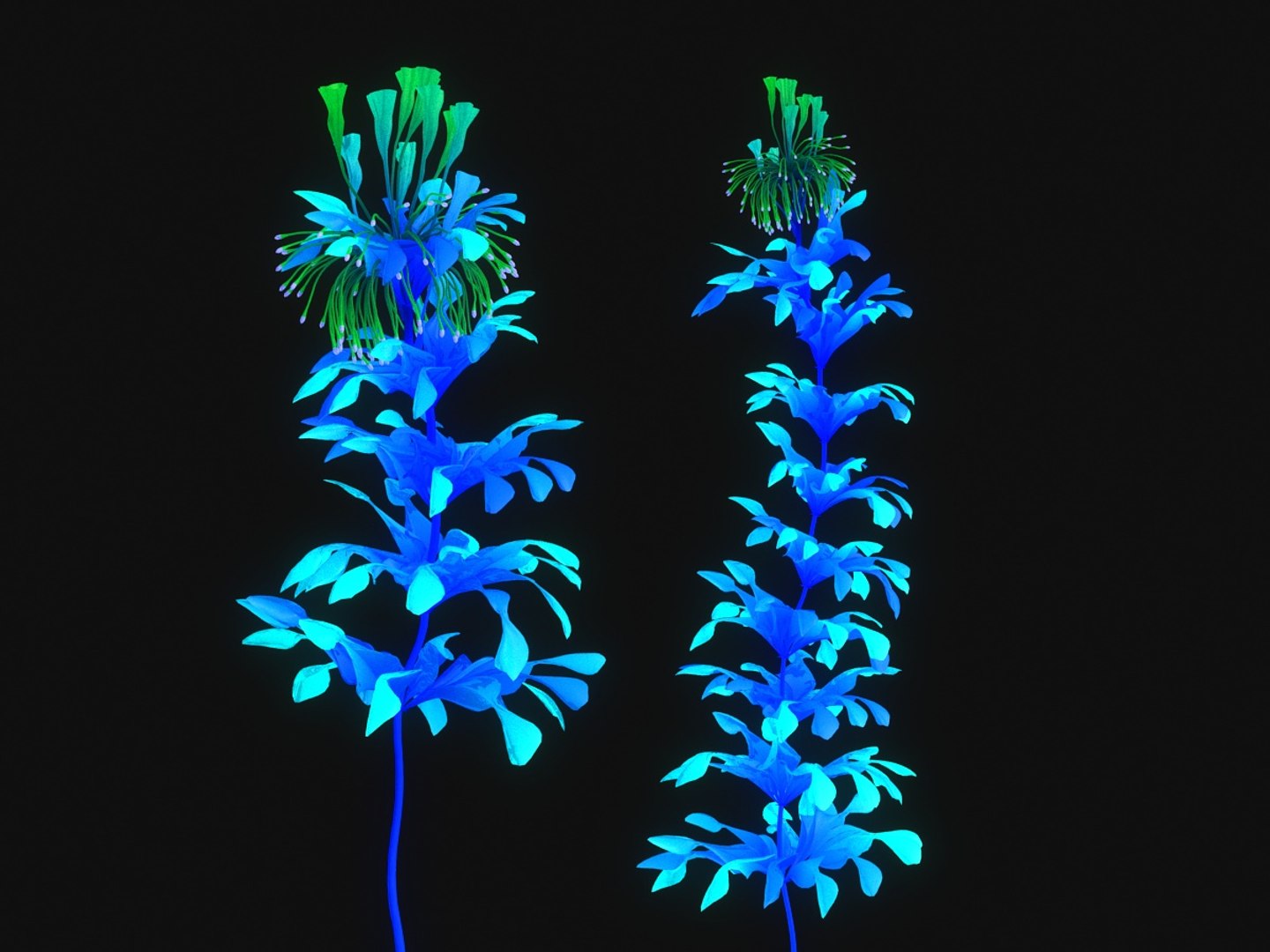 alien flower pack 3D model https://p.turbosquid.com/ts-thumb/fm/F8FxUr/RAuBWNa3/89789090/jpg/1552340301/1920x1080/fit_q87/cc2d7cba8eb8dcce97e92ae16f37516b0860c3b5/89789090.jpg