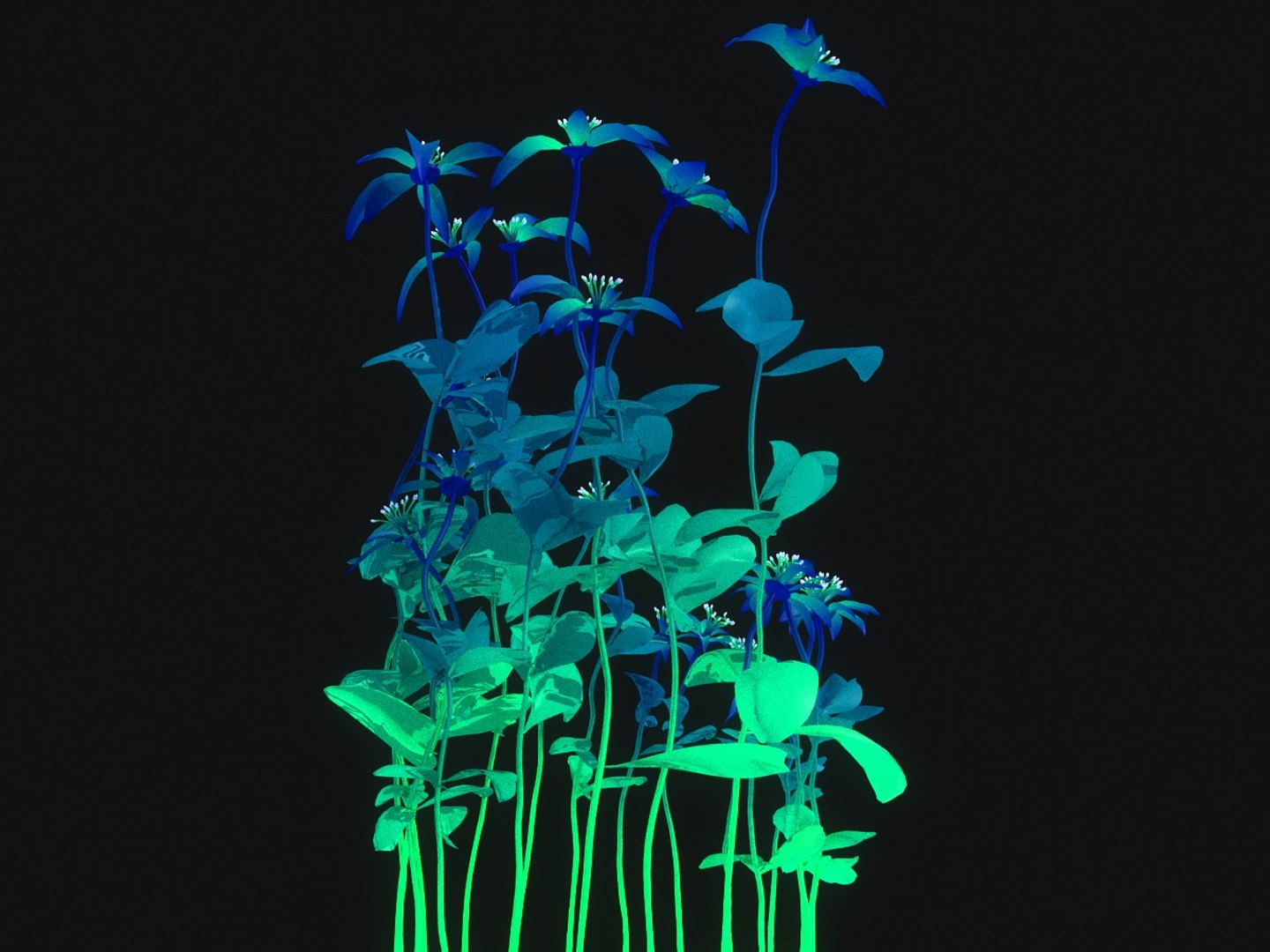 alien flower pack 3D model https://p.turbosquid.com/ts-thumb/fm/F8FxUr/WqOqVZ1h/897890/jpg/1552340301/1920x1080/fit_q87/abab9ff587ce2aa2ae012653c1ba41fcc2c6eee4/897890.jpg