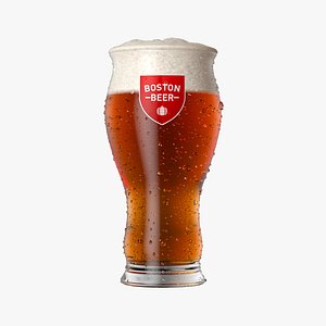 Boston Beer Glass