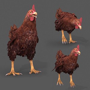 Top Chicken - 8k - 3d animated