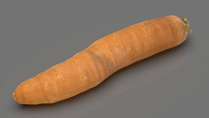 3D model Carrot