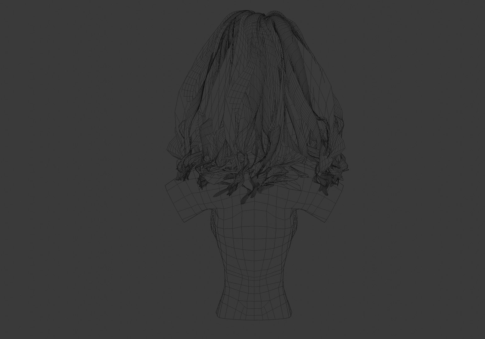 Wavy Pigtail Hairstyle 3D https://p.turbosquid.com/ts-thumb/fm/pcKbXs/b1/200000_wire0005/jpg/1659153727/1920x1080/fit_q87/245dcbb7ff59ba29f6166cb4e79ecb7c2e5c2ec8/200000_wire0005.jpg