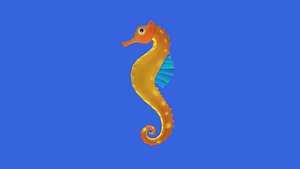 seahorse animations 3D model