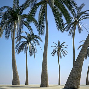 3d palm trees