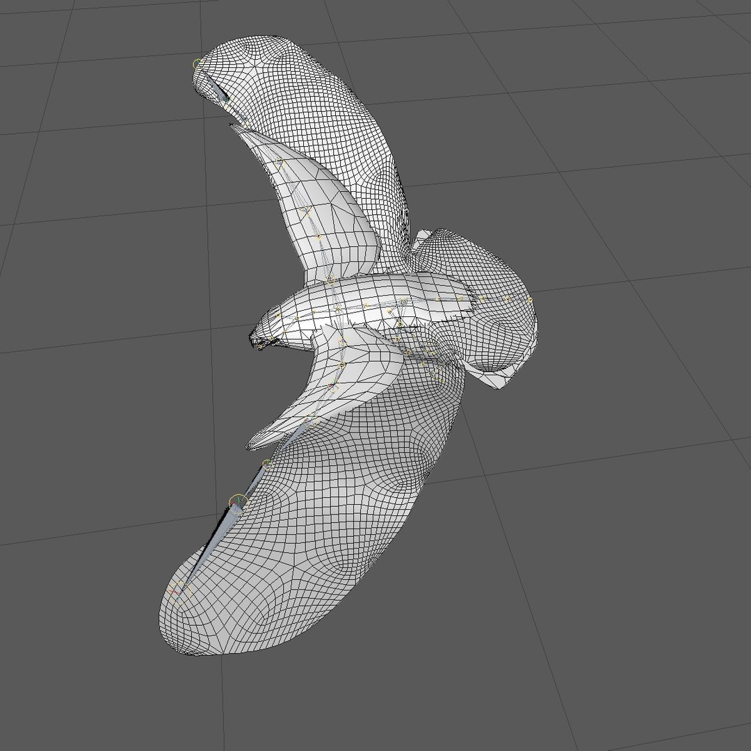 3d c4d flying grey eagle animation https://p.turbosquid.com/ts-thumb/fm/tM2DlI/6OVWMac2/goldeagleflyinganimated13/jpg/1462711065/1920x1080/fit_q87/09f961bbc44fc73c9def401b38c3313392f08481/goldeagleflyinganimated13.jpg