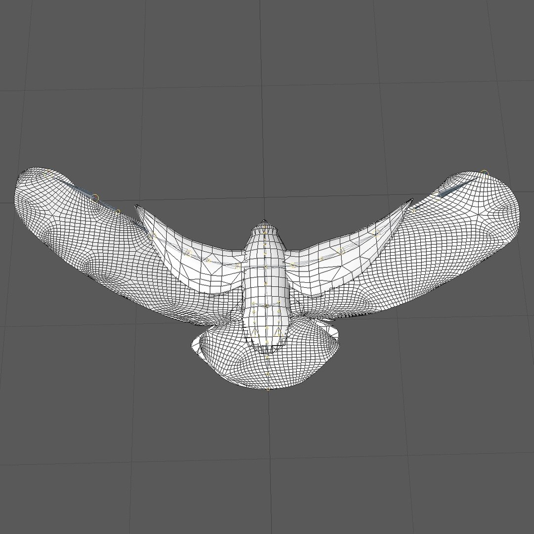 3d c4d flying grey eagle animation https://p.turbosquid.com/ts-thumb/fm/tM2DlI/Y8F4YFV9/goldeagleflyinganimated14/jpg/1462711065/1920x1080/fit_q87/b148aed4b1a5ef8a8f59f0f161084173ff431f99/goldeagleflyinganimated14.jpg