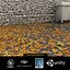 Feuilles d'automne (éparses)