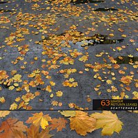 Autumn Leaves (Scatterable)