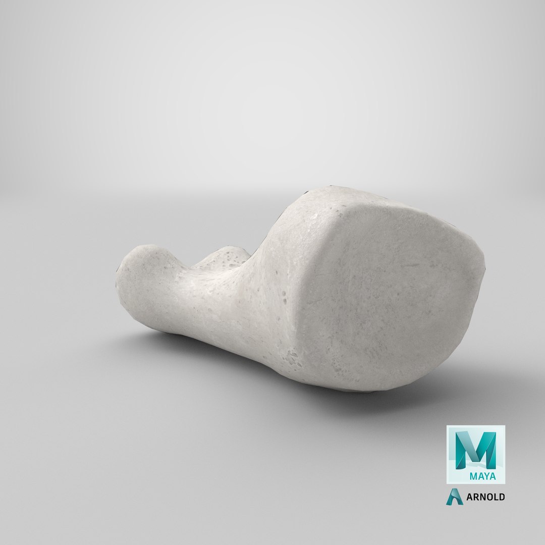 proximal phalanx bone big 3D model https://p.turbosquid.com/ts-thumb/fn/2mHwj8/5An9GntT/stemcell_maya_arnold_render/png/1592469262/1920x1080/fit_q87/36eef20f56333f663c4ddd0fd252bd2af1347d13/stemcell_maya_arnold_render.jpg