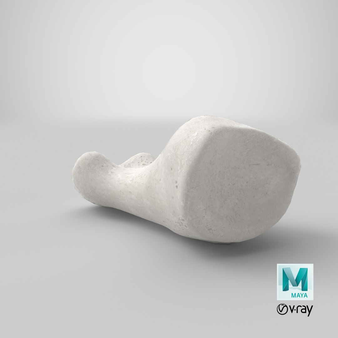 proximal phalanx bone big 3D model https://p.turbosquid.com/ts-thumb/fn/2mHwj8/AEhrD7oh/stemcell_maya_vray_render/png/1592469270/1920x1080/fit_q87/211fa2ce3da8c6765e946c04842b291364ec22db/stemcell_maya_vray_render.jpg