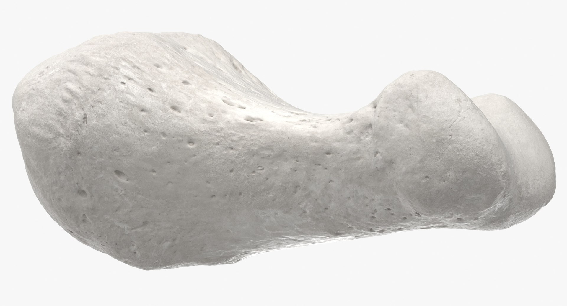 proximal phalanx bone big 3D model https://p.turbosquid.com/ts-thumb/fn/2mHwj8/gvXBKWDB/proximal_phalanx_bone_of_big_toe_01_white_thumbnail_0007/jpg/1590143169/1920x1080/fit_q87/d9ef3bcb47c8b54b60dfa0690454d36caae13c8a/proximal_phalanx_bone_of_big_toe_01_white_thumbnail_0007.jpg