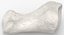 Real Proximal Phalanx Bone of Big Toe 01 White