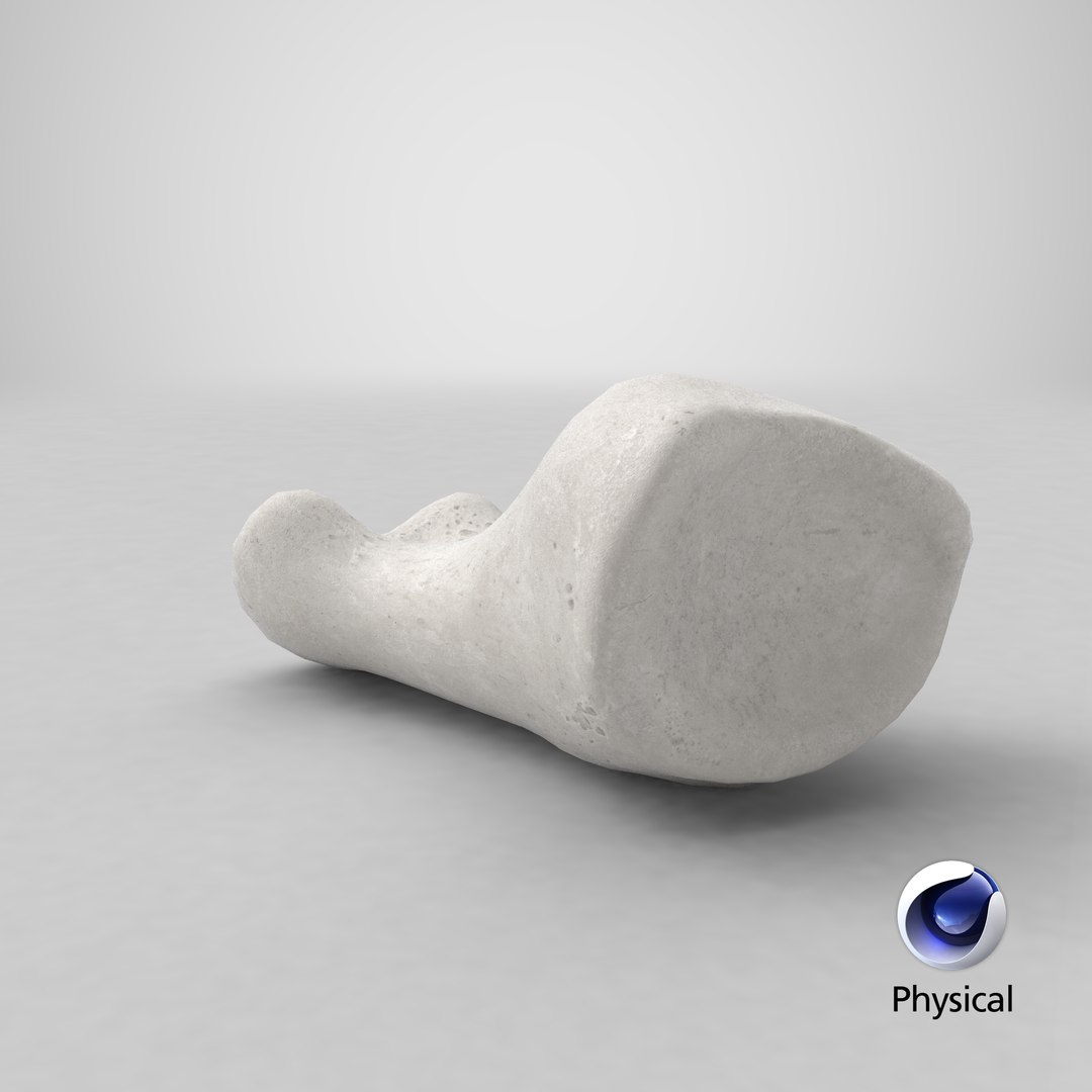 proximal phalanx bone big 3D model https://p.turbosquid.com/ts-thumb/fn/2mHwj8/jAqWDvGd/stemcell_cinema_4d_physical_render/png/1592469245/1920x1080/fit_q87/737c1224a00d828eea256235fc78cd1f8dce8489/stemcell_cinema_4d_physical_render.jpg