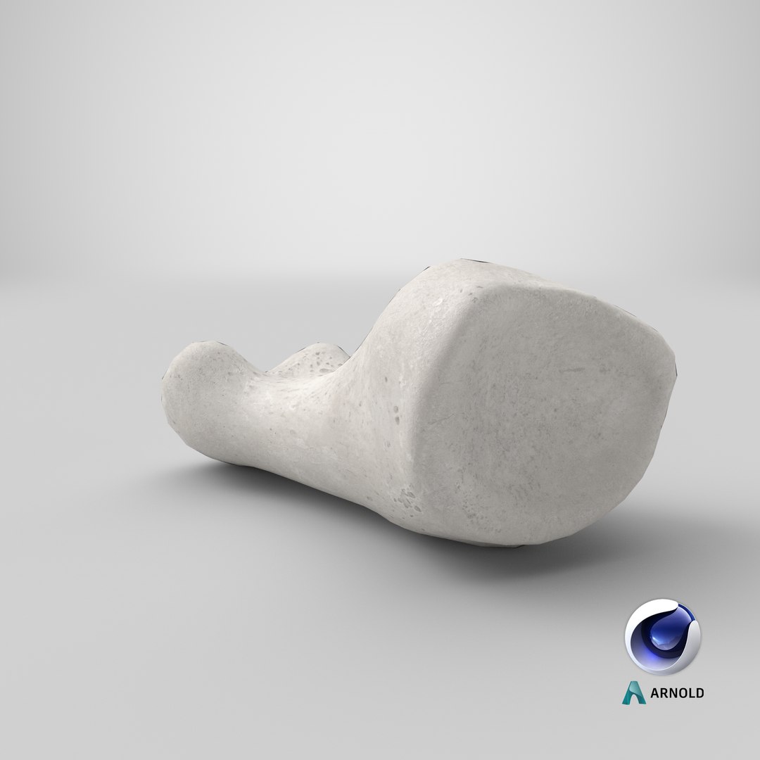 proximal phalanx bone big 3D model https://p.turbosquid.com/ts-thumb/fn/2mHwj8/z8WbvL6R/stemcell_cinema_4d_arnold_render/png/1592469248/1920x1080/fit_q87/b1505b8077b14ddd2c4f1bfdc2cccd2230eefaaf/stemcell_cinema_4d_arnold_render.jpg