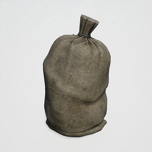 sack medieval 3D