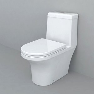 toilet model