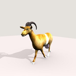 goat 3d model