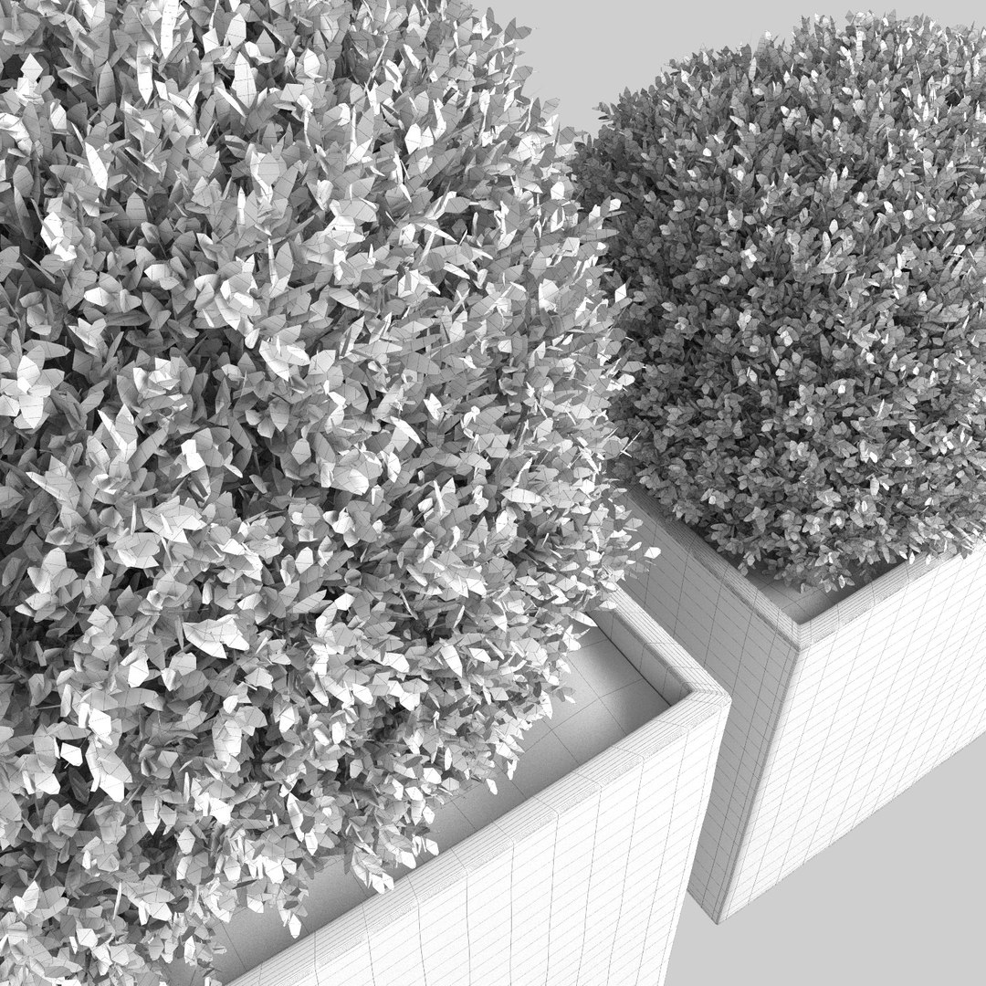 Realistic Planters Square 3d Max