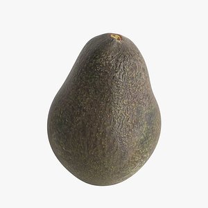 avocado 3D model