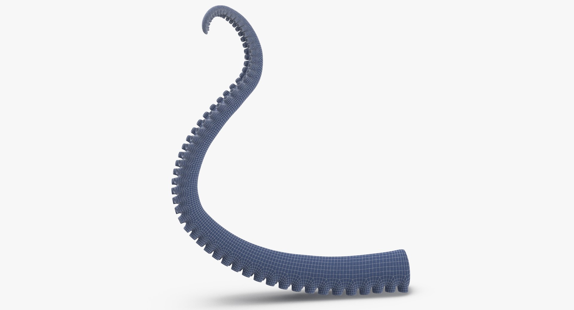 3d model of octopus tentacle 02