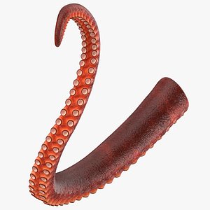 3d model of octopus tentacle 02